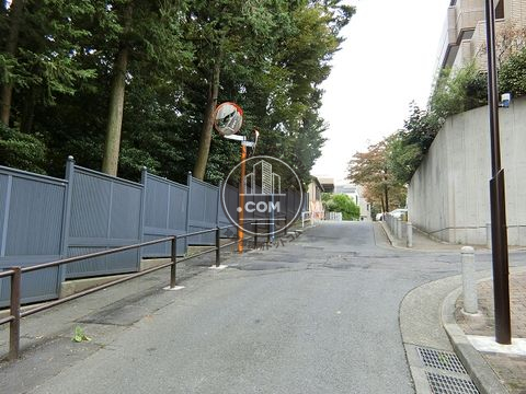 裏路地