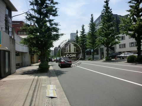 大通り