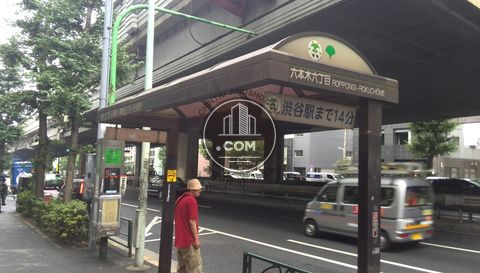 大通り