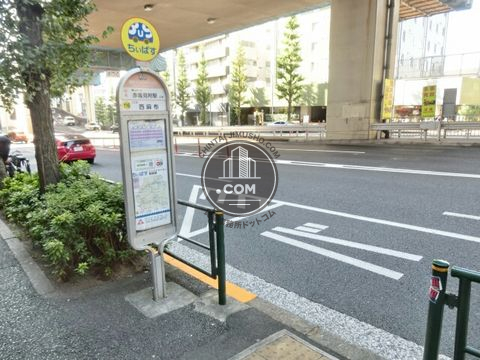 大通り