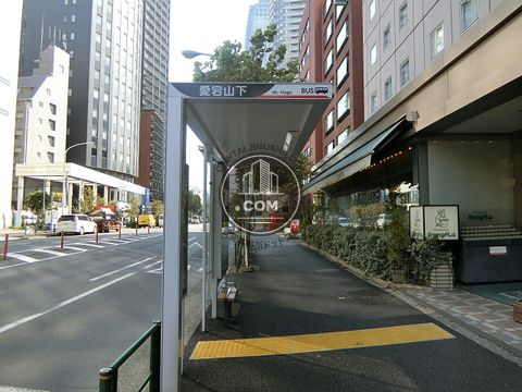 大通り