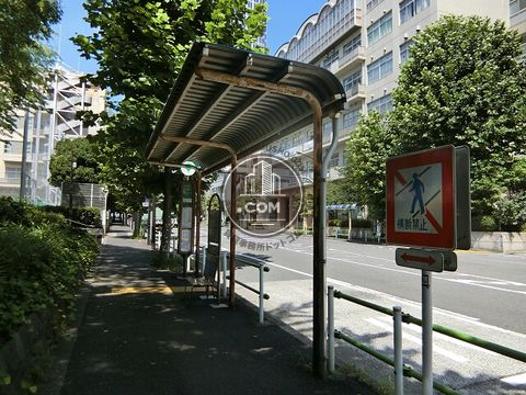 大通り