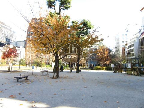 裏路地