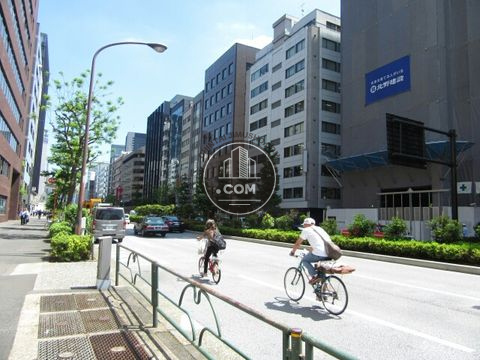 大通り