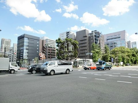 大通り