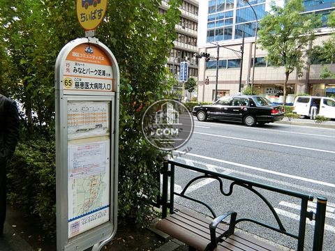 大通り