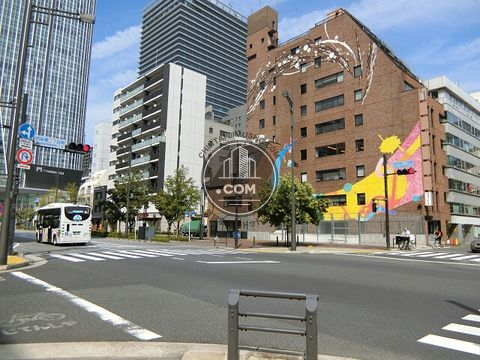 大通り