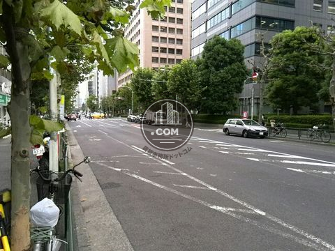 大通り
