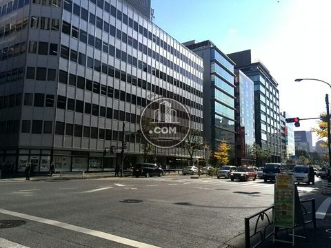 大通り