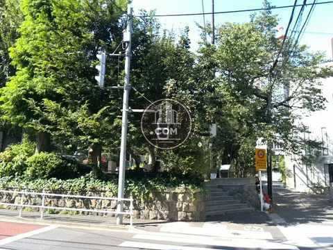 駅周辺
