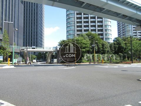 大通り