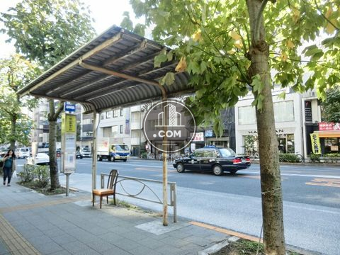 大通り