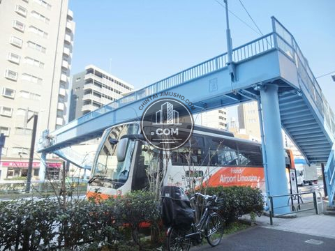 大通り