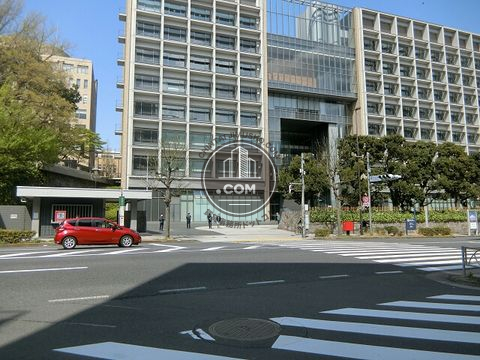 大通り
