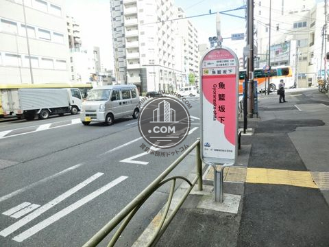 大通り