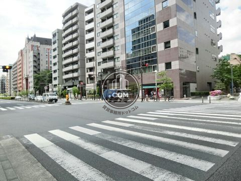 大通り