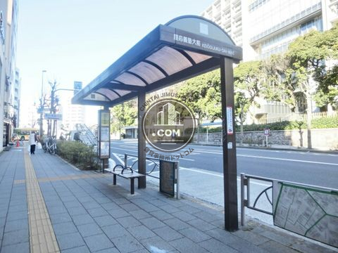 大通り