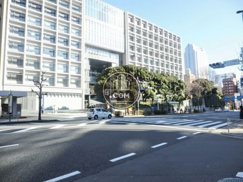 大通り
