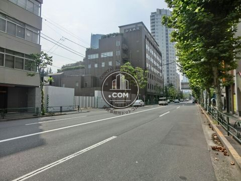 大通り