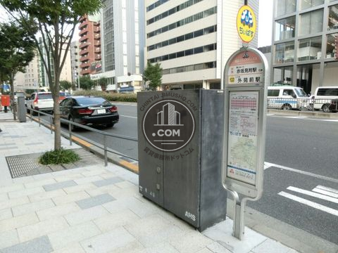 大通り