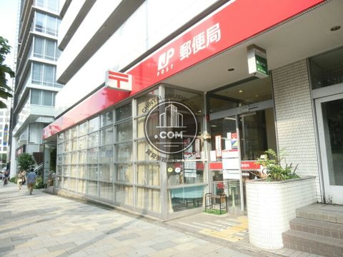 大通り