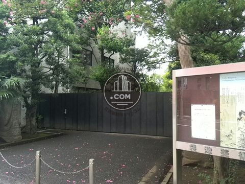 裏路地