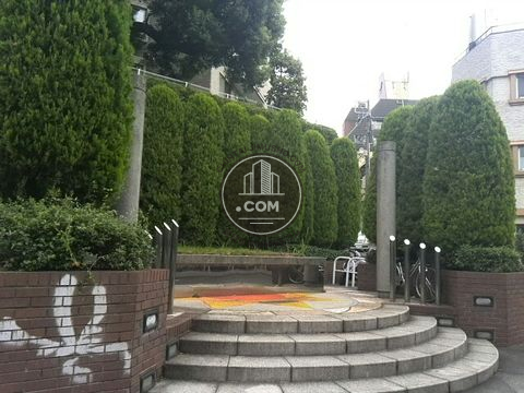 大通り