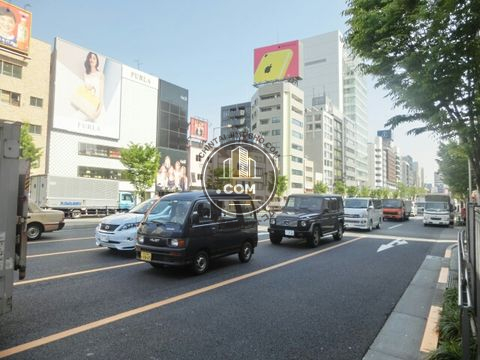 大通り