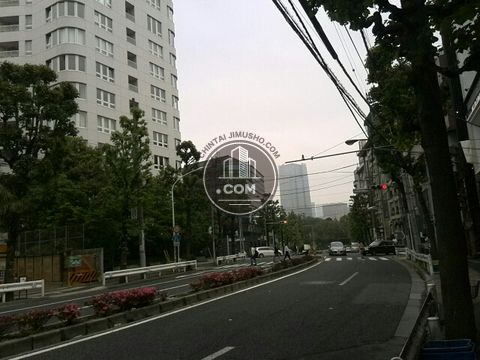 大通り