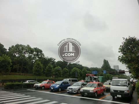 大通り