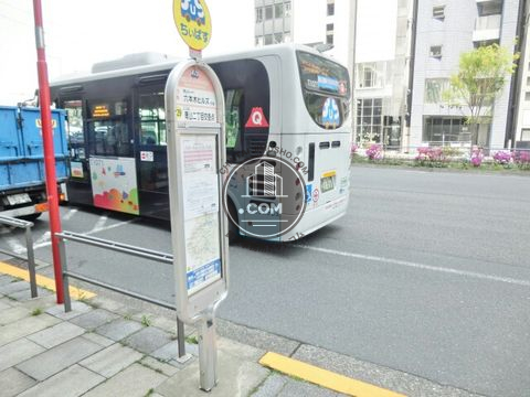 大通り