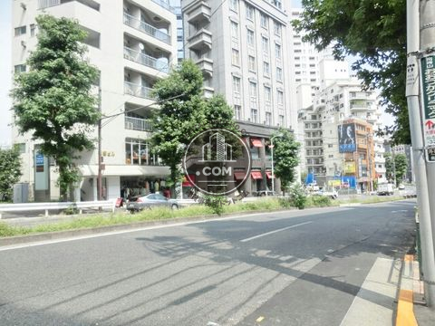 大通り
