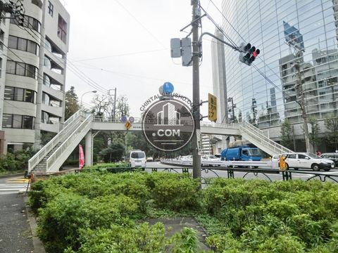 大通り