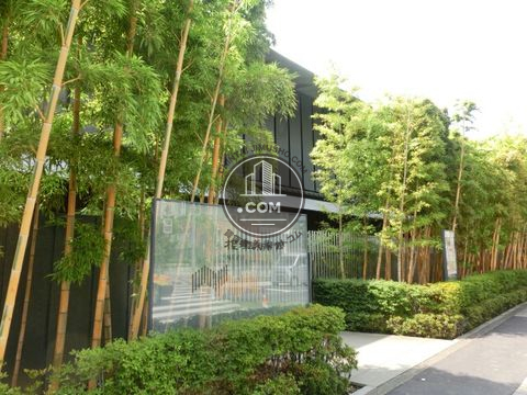 大通り