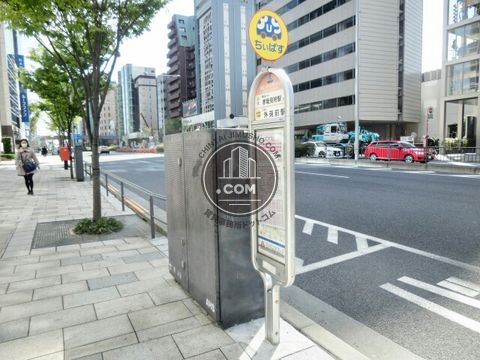大通り