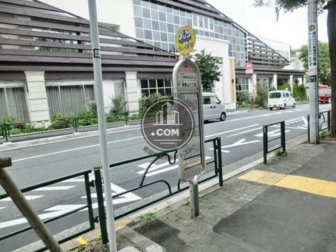 大通り