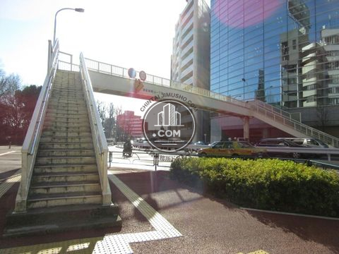 大通り