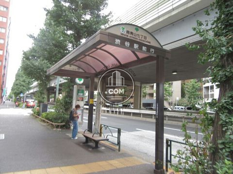 大通り