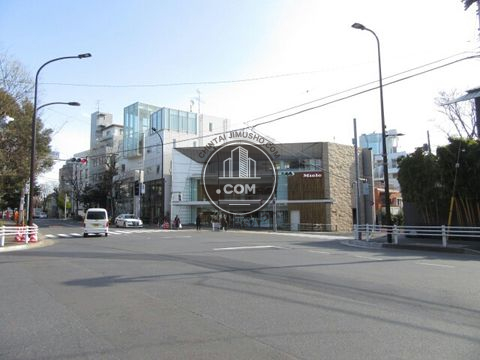 大通り