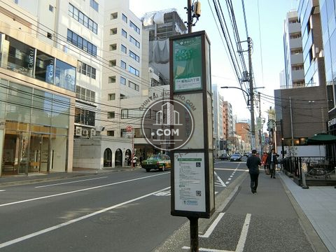 大通り