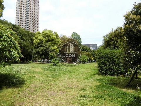 裏路地