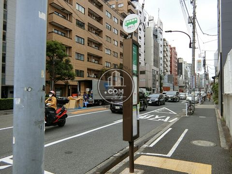 大通り