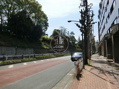 大通り