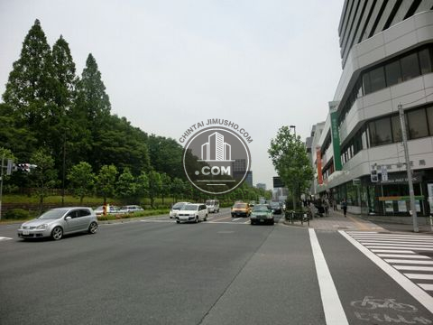 大通り