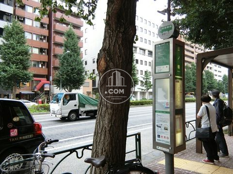大通り
