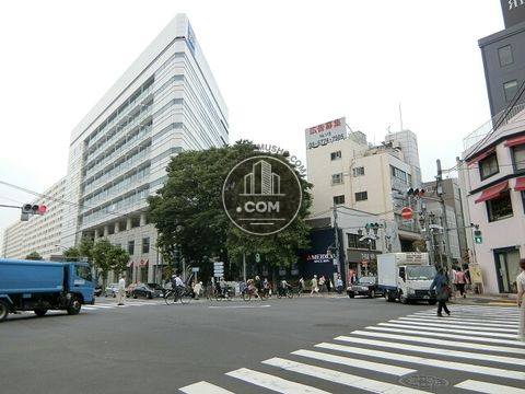 大通り