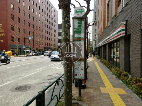 大通り