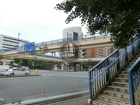 大通り