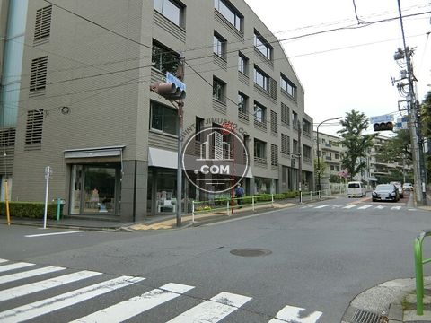 大通り