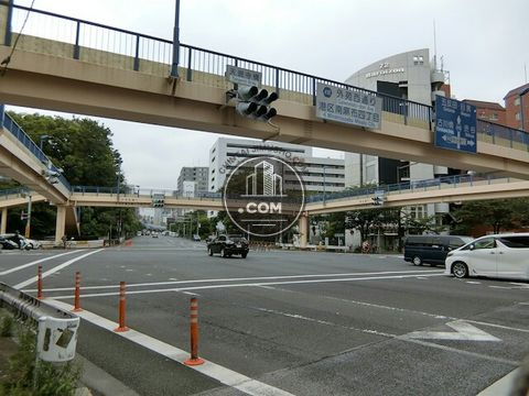 大通り